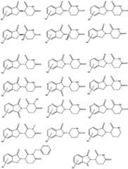 Figure BDA0003027048450000891