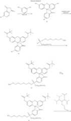 Figure US07671218-20100302-C00105