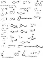 Figure imgf000049_0001