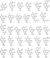 Figure imgf000048_0001