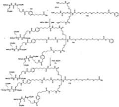 Figure imgf000144_0001