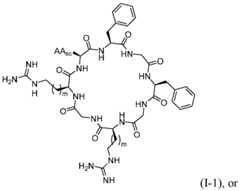 Figure imgf000014_0002