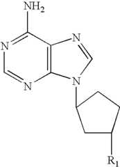 Figure US07868011-20110111-C00023