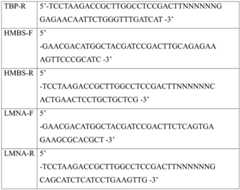 Figure BDA0002941617010000131