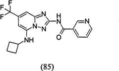 Figure GPA00001035513101002