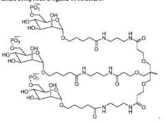 Figure imgf000068_0003