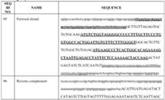 Figure imgf000085_0001