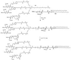 Figure imgf000293_0001