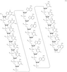 Figure US11591595-20230228-C00004