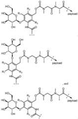 Figure imgf000175_0002