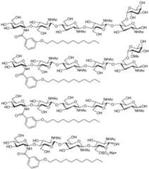 Figure imgf000035_0001