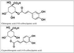Figure imgf000004_0001