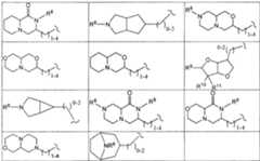 Figure G2007800513551D00392