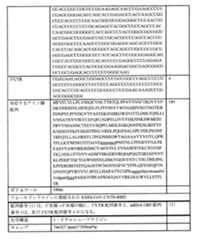 Figure 0007438604000111