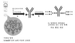 Figure P1020167036488