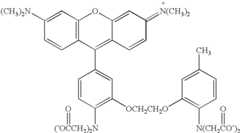 Figure US07102005-20060905-C00010