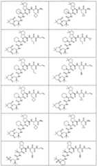 Figure imgf000341_0001