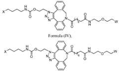 Figure imgf000111_0001