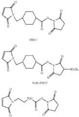 Figure imgf000043_0001