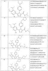 Figure imgf000096_0001