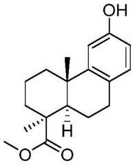 Figure BDA0002889616220002471