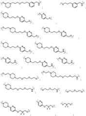 Figure BDA0003027048450002061