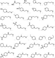 Figure GDA0003480931630000042