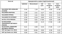 Figure imgf000196_0002