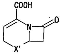 Figure imgf000005_0001