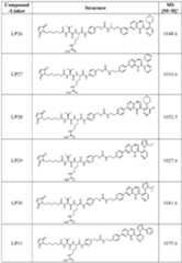 Figure imgf000380_0001