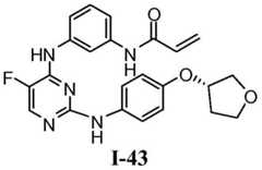 Figure BDA0001453135130002732