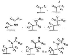 Figure 112009073328792-PCT00008