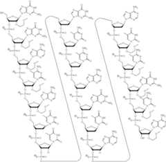 Figure US11118183-20210914-C00002