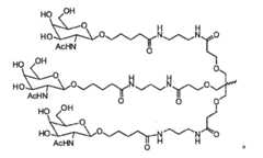 Figure 105140410-A0305-02-0032-6