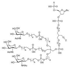 Figure 2023012548000238