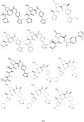 Figure imgf000226_0001