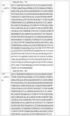 Figure PCTCN2019123555-APPB-000045