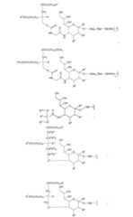 Figure 112009026250918-PCT00056