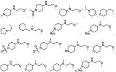 Figure FDA0003480931620000031