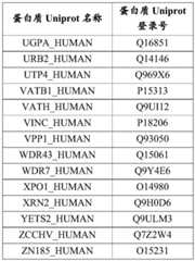 Figure BDA0004177014690000741