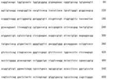 Figure 108117572-A0202-12-0337-324