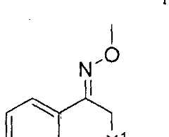 Figure imgf000005_0003