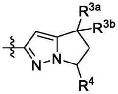 Figure FDA0002731674960000041