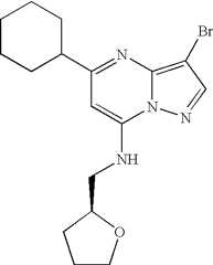 Figure US07119200-20061010-C01386