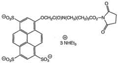 Figure imgf000061_0001