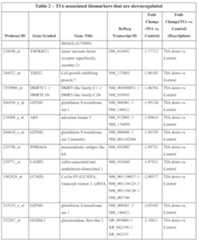 Figure imgf000048_0001