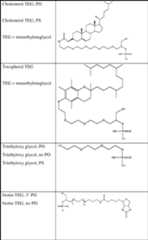 Figure AU2013315225B2_D0053