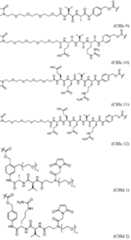 Figure imgf000206_0001