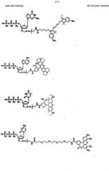 Figure imgf000477_0001