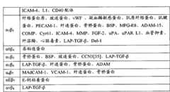 Figure BPA00001423331700251